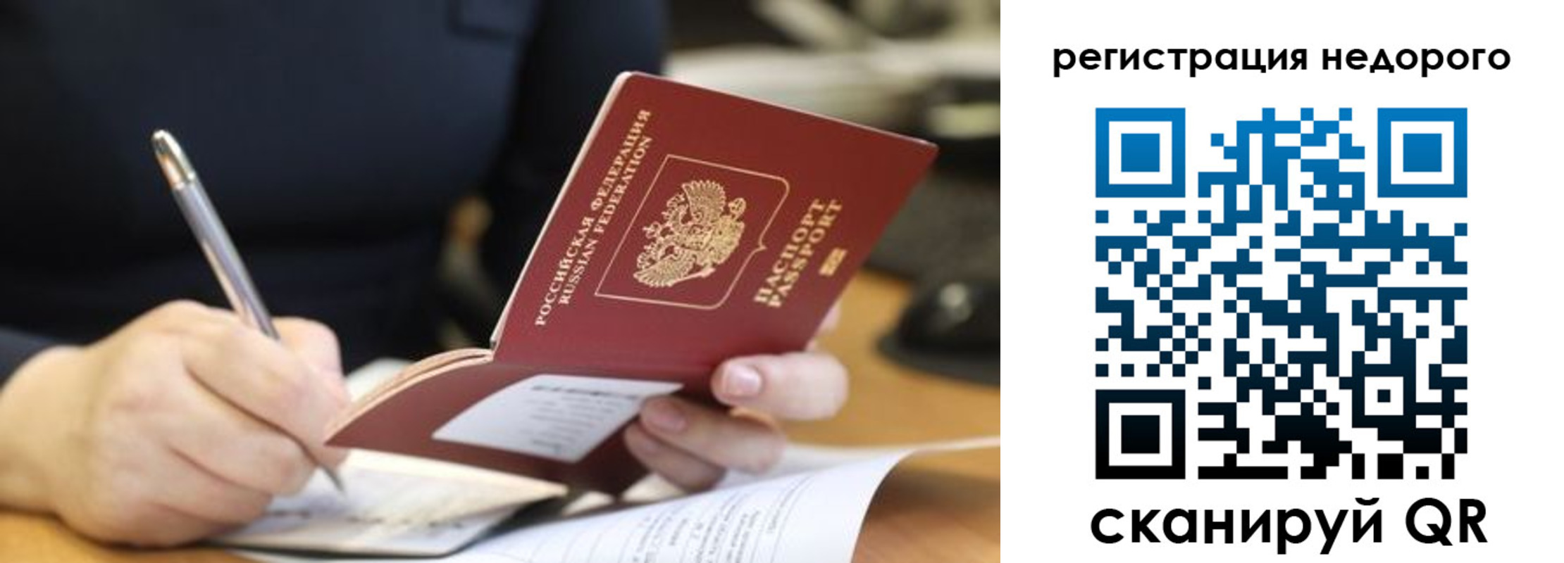 прописка гарантия в Зеленогорске
